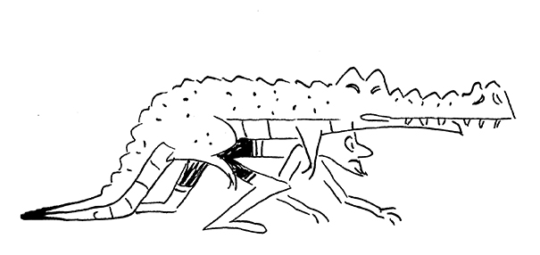 croc