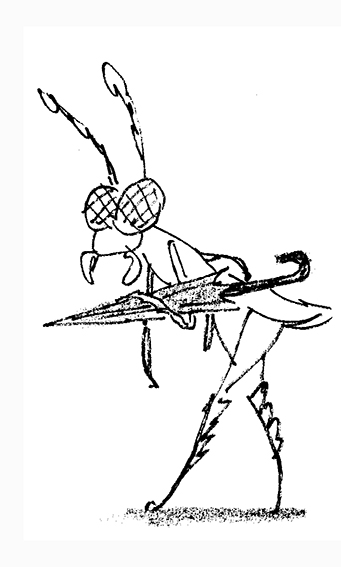 bug