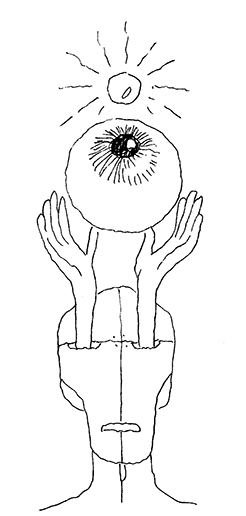 eye