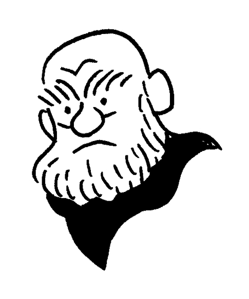 beard