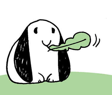 bunny