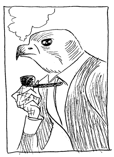 hawk