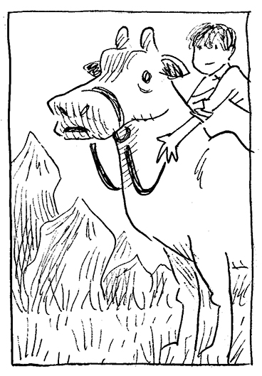 steed