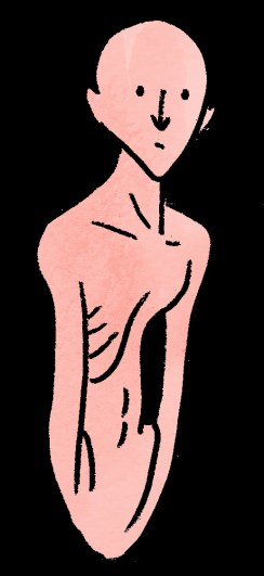 ribs