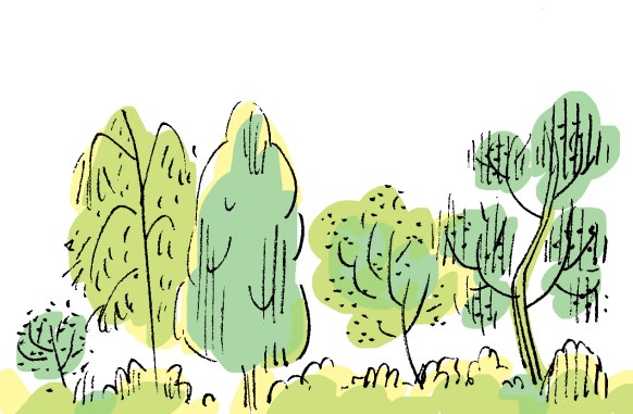 trees