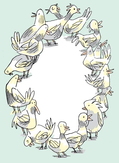 bird-circle
