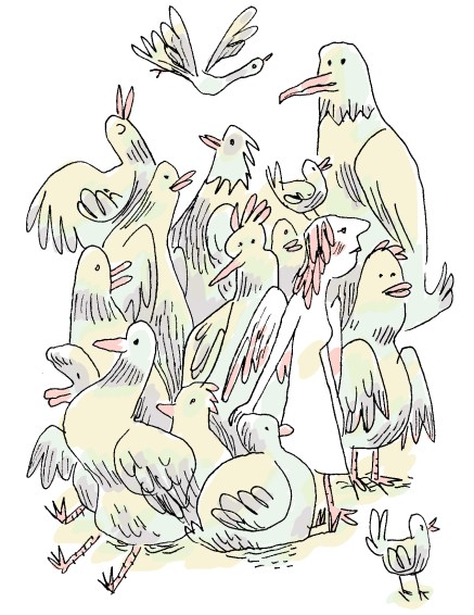 birds