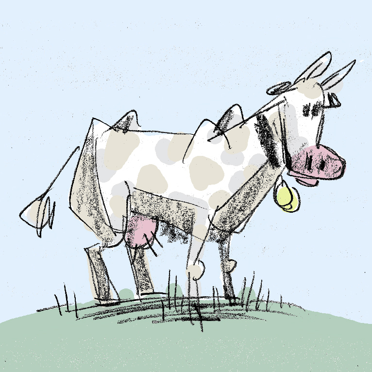 cow