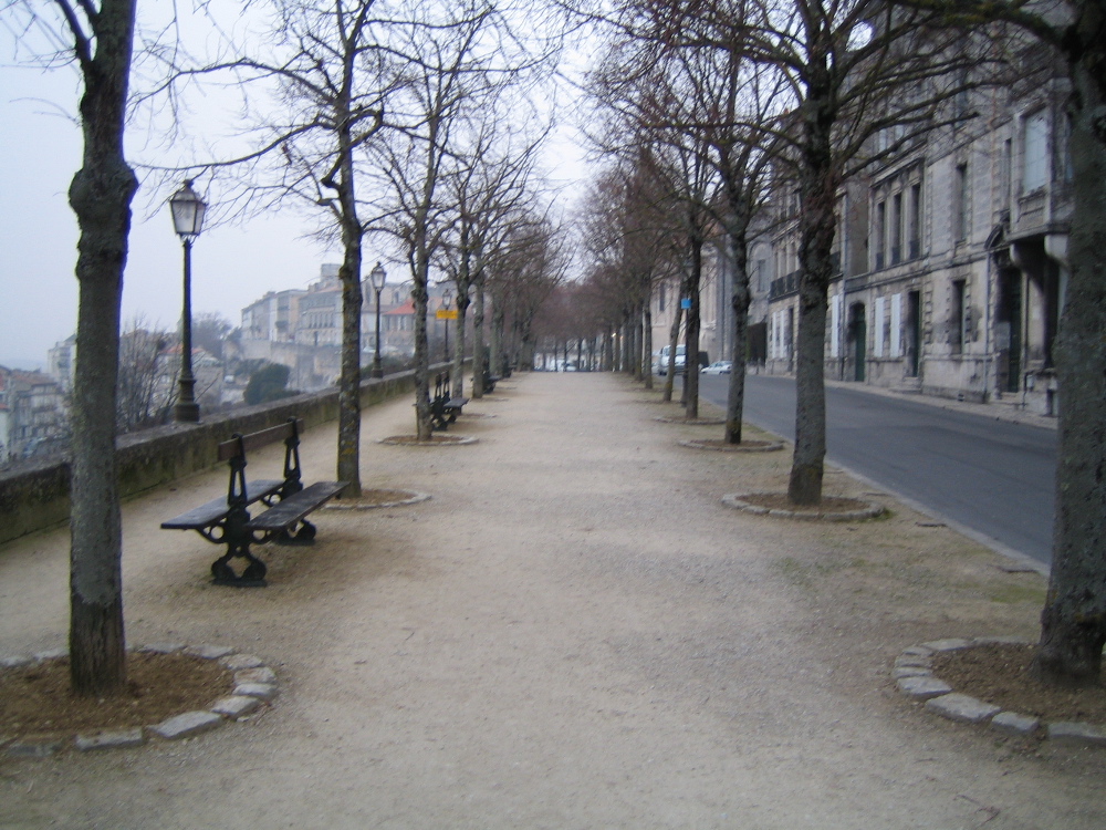 97657151_cae99646b3_o